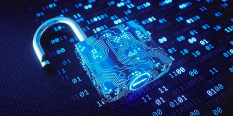 nghia-vu-co-ban-can-thuc-hien-theo-dung-chinh-sach